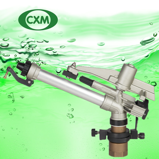 C5NT2DSC04716LM-9026S